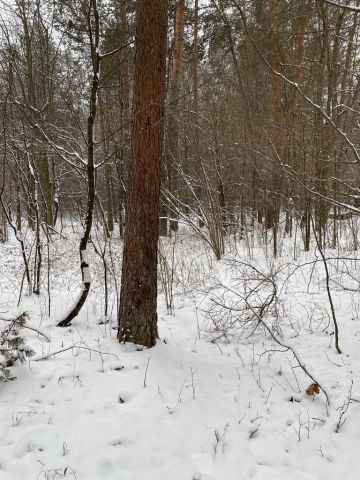 Działka budowlana Huta Szumy. Zdjęcie 1