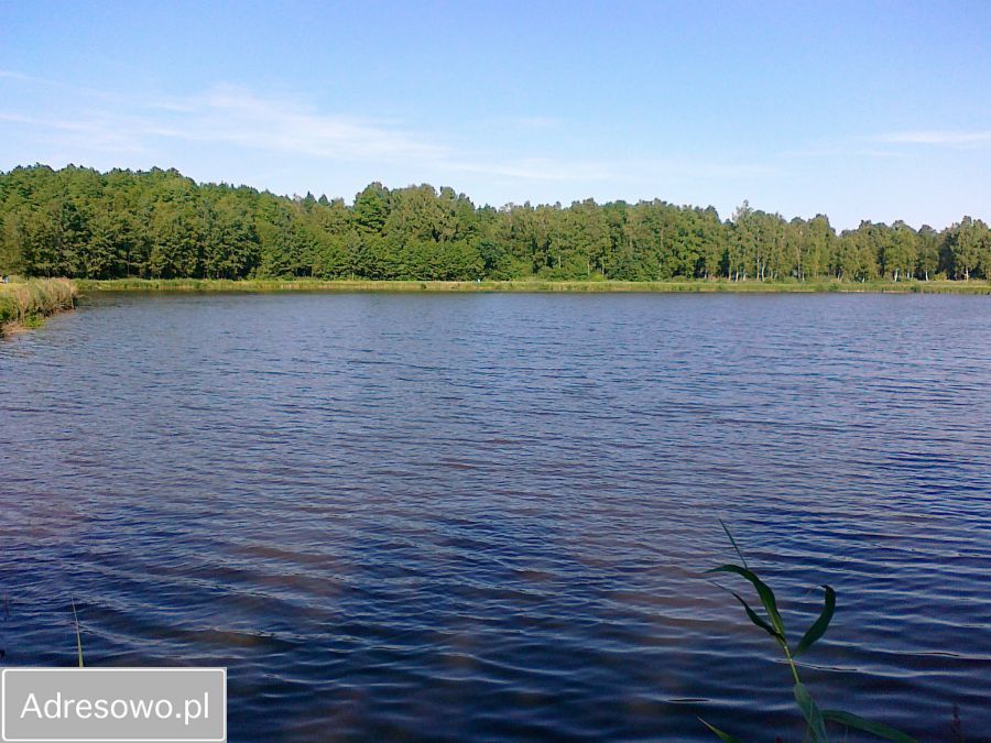 dom wolnostojący Dobrut. Zdjęcie 8