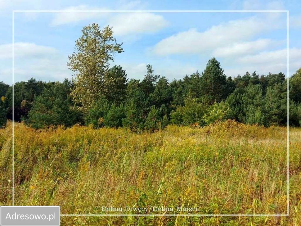 Działka budowlana Krobia, ul. Dolina Drwęcy. Zdjęcie 9