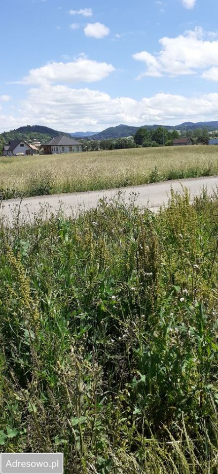 Działka budowlana Borówno. Zdjęcie 4