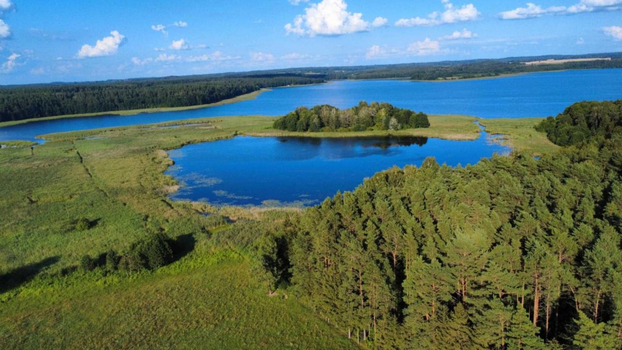 Działka rolna Przerwanki. Zdjęcie 7