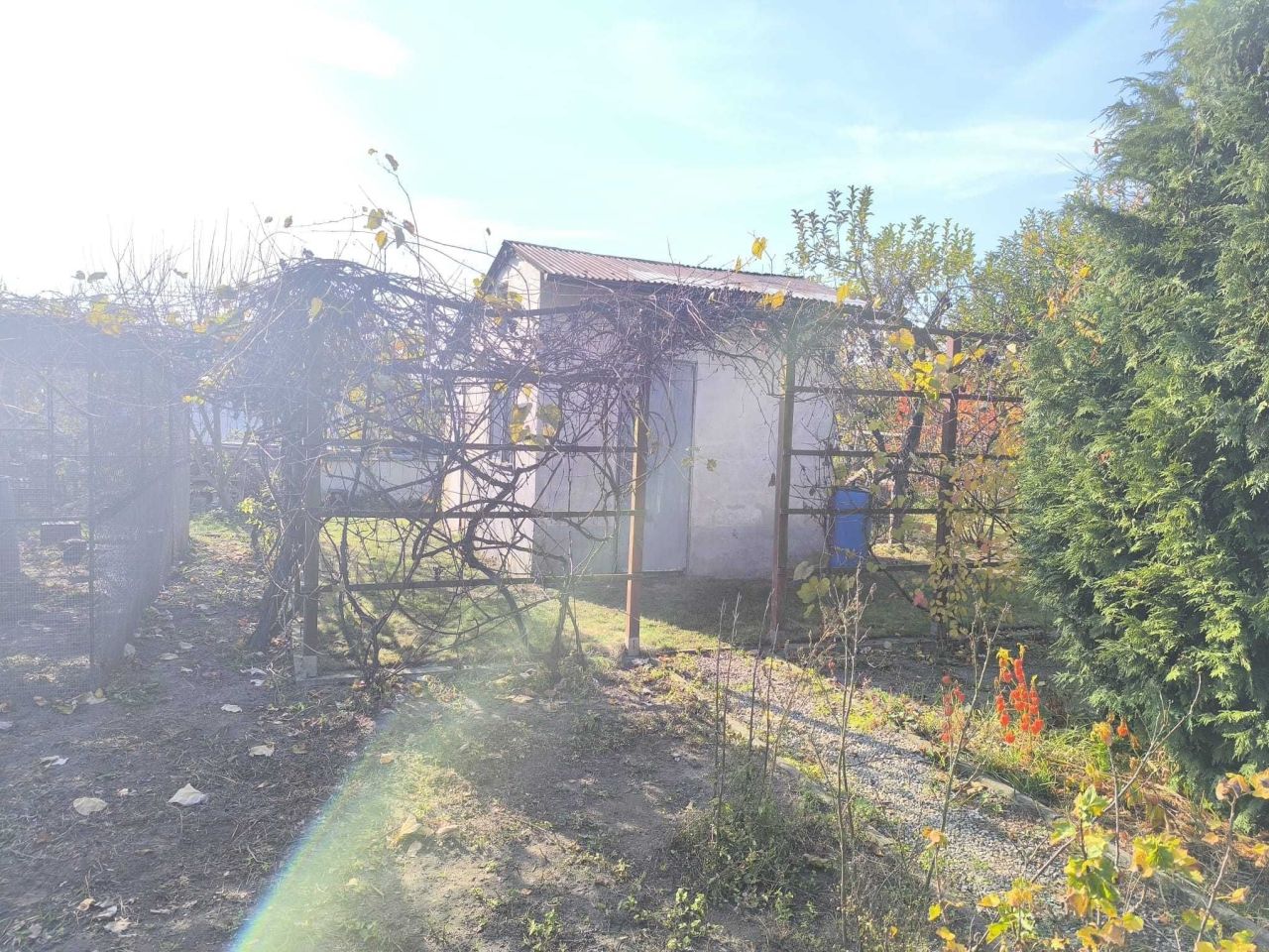Działka rod Jelcz-Laskowice. Zdjęcie 6