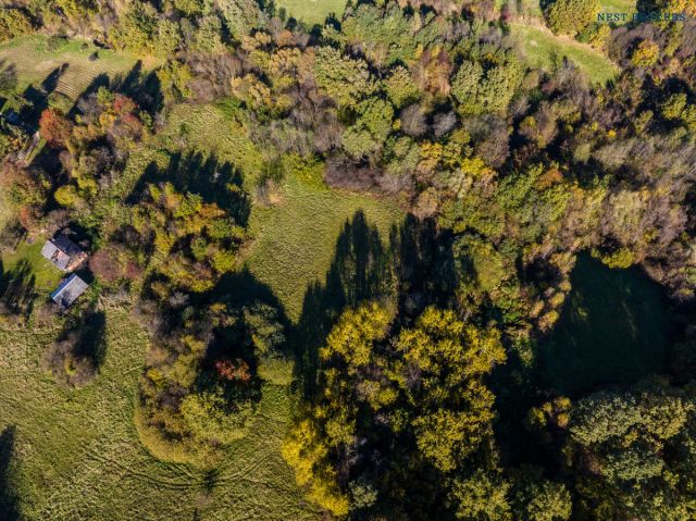 Działka budowlana Pawlikowice. Zdjęcie 8