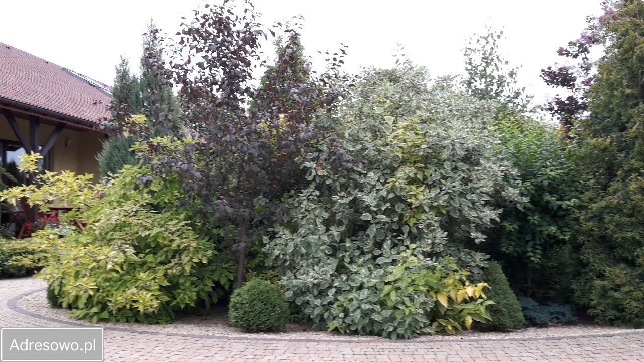 dom wolnostojący, 5 pokoi Czestków F. Zdjęcie 9