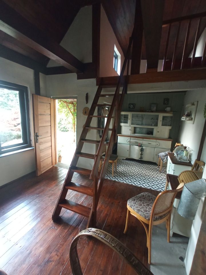 Działka rod Zabrze. Zdjęcie 4