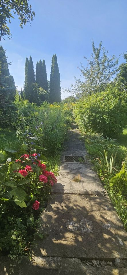 Działka rod Tczew Centrum. Zdjęcie 4