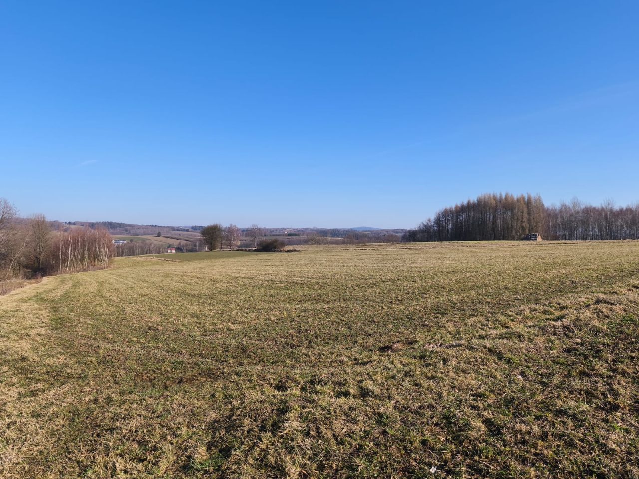 Działka rolna Dębowa. Zdjęcie 5