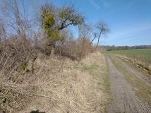 Działka siedliskowa Glebiska. Zdjęcie 3