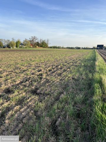 Działka budowlana Janów Ruszki. Zdjęcie 1