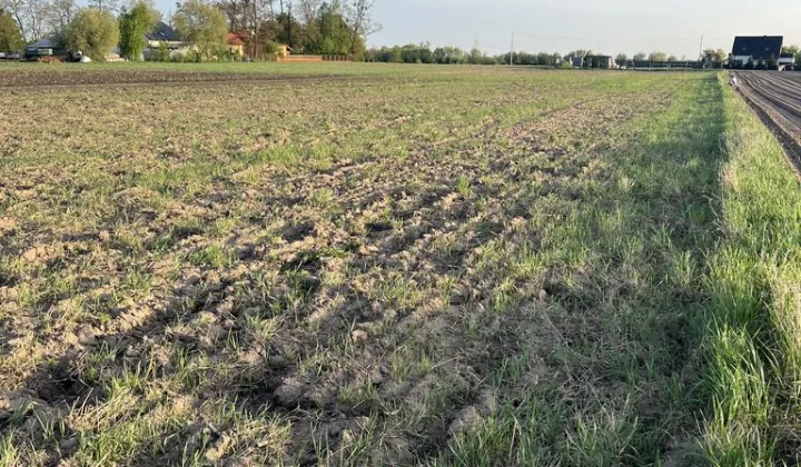 Działka budowlana Janów Ruszki