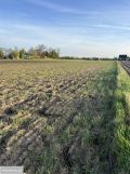 Działka budowlana Janów Ruszki