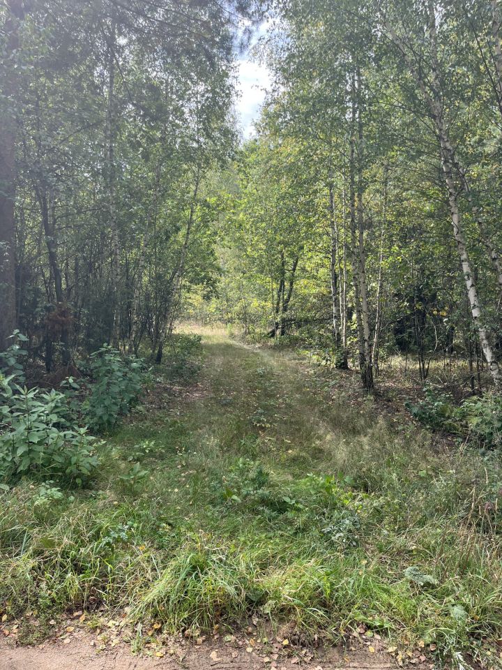 Działka leśna Markowo-Wólka. Zdjęcie 4