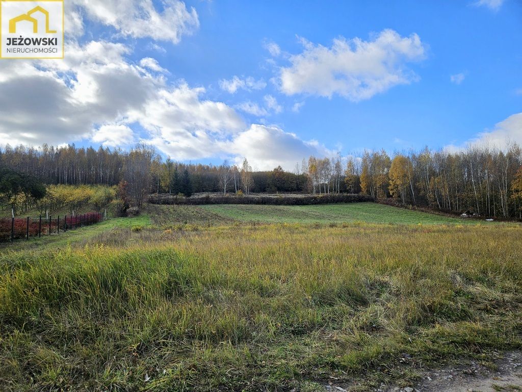 Działka budowlana Kazimierz Dolny Jeziorszczyzna. Zdjęcie 14