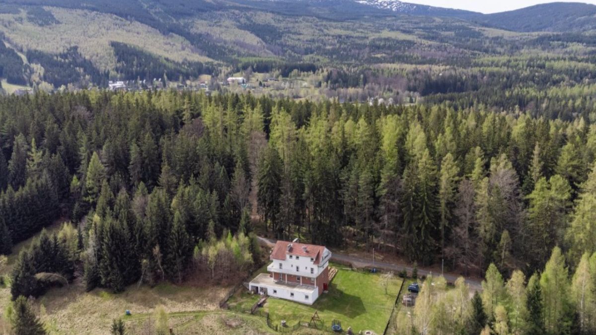 dom wolnostojący, 13 pokoi Borowice. Zdjęcie 3