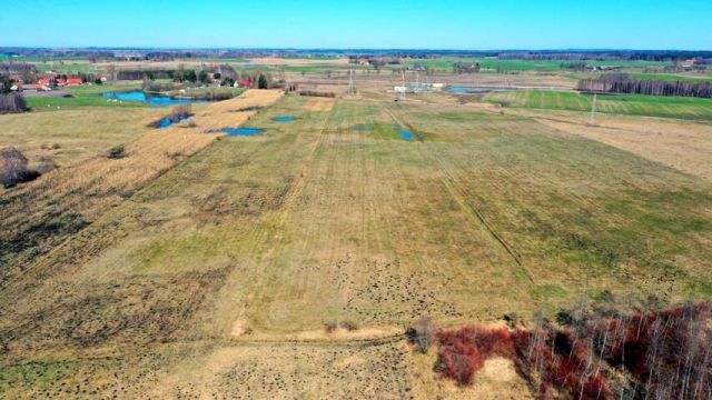 Działka rolna Siedliska. Zdjęcie 8