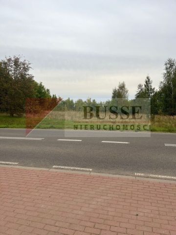 Działka rolna Storkowo. Zdjęcie 2