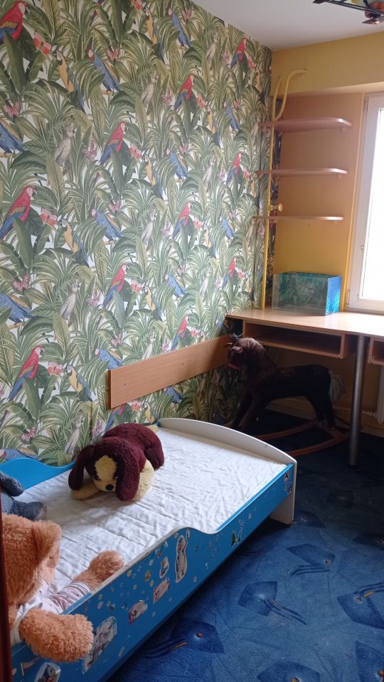 Mieszkanie 3-pokojowe Lublin Rury, ul. Pana Balcera. Zdjęcie 16