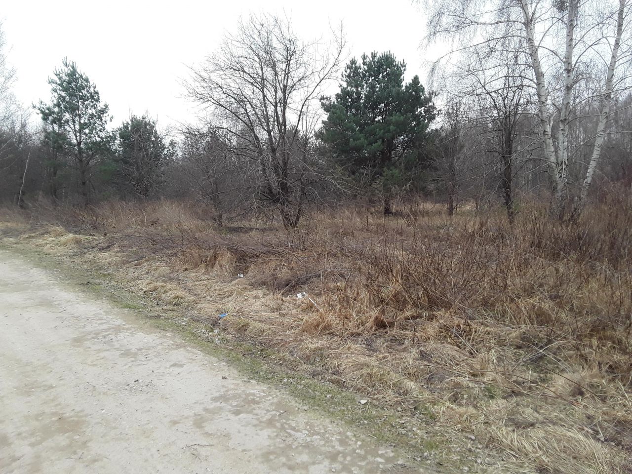 Działka budowlana Stara Wieś, ul. Piniowa