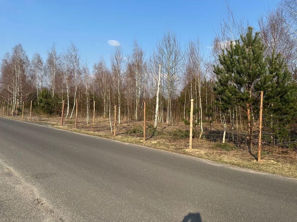 Działka budowlana Niesułków-Kolonia. Zdjęcie 6