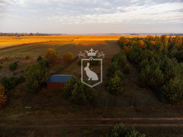 Działka budowlana Gnojno. Zdjęcie 16