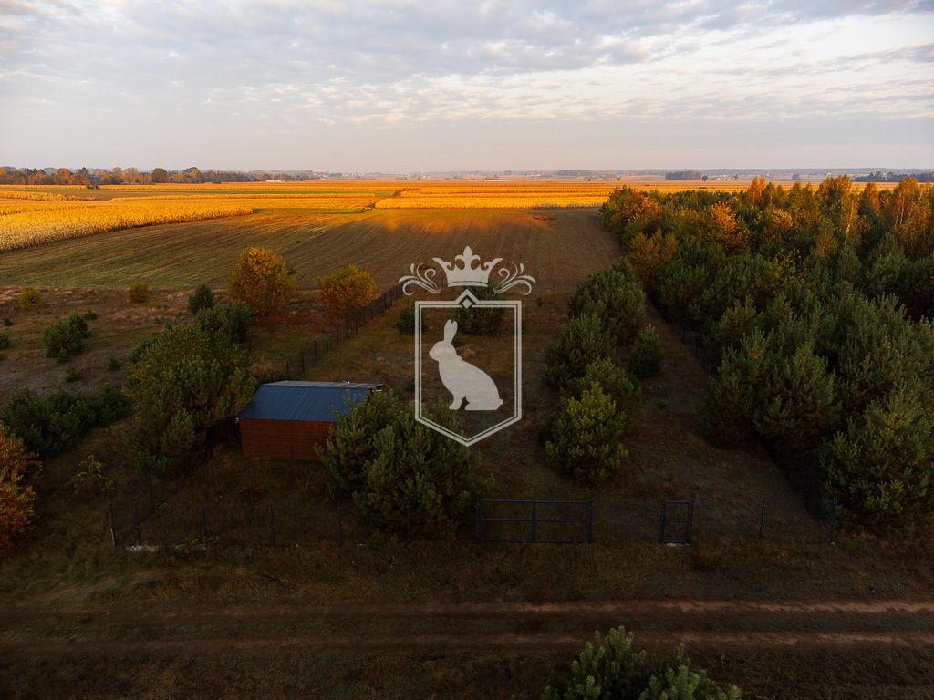 Działka budowlana Gnojno. Zdjęcie 16