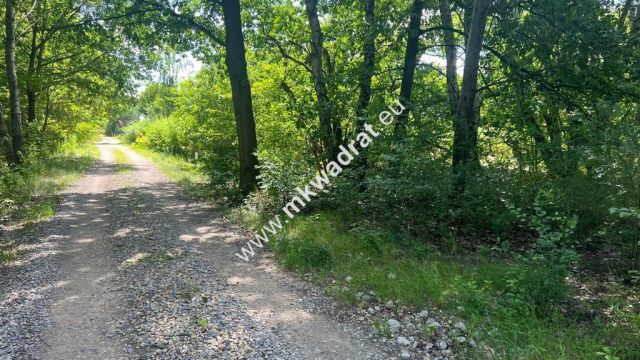 Działka budowlana Radonie. Zdjęcie 20