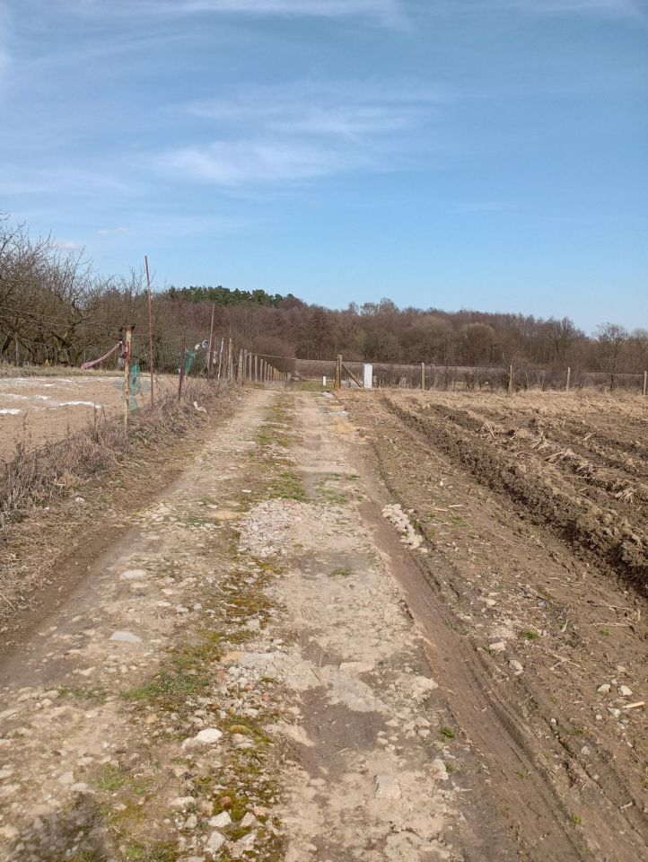 Działka budowlana Brochocin, Brak. Zdjęcie 8