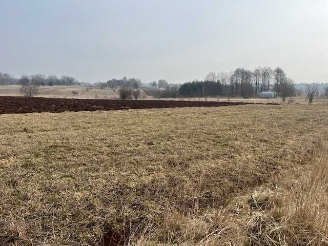 Działka budowlana Rzeniszów, ul. ks. Stanisława Zapałowskiego. Zdjęcie 5