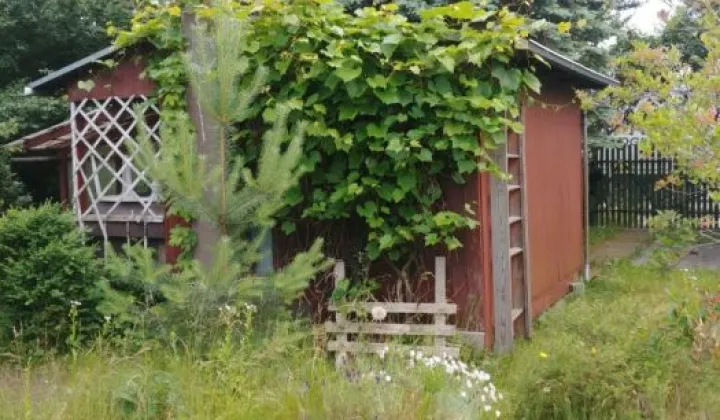 Działka rod Gdańsk