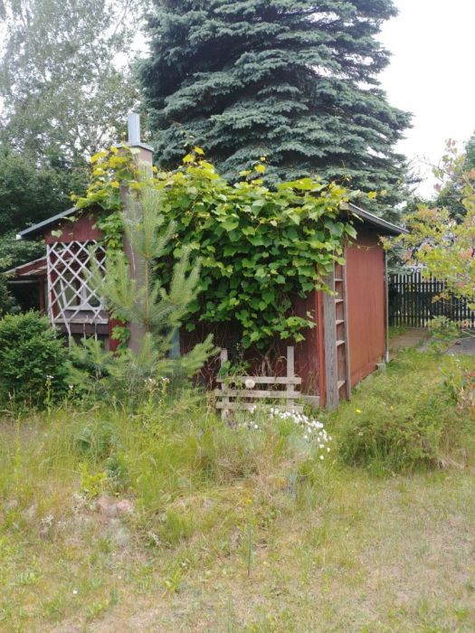 Działka rod Gdańsk