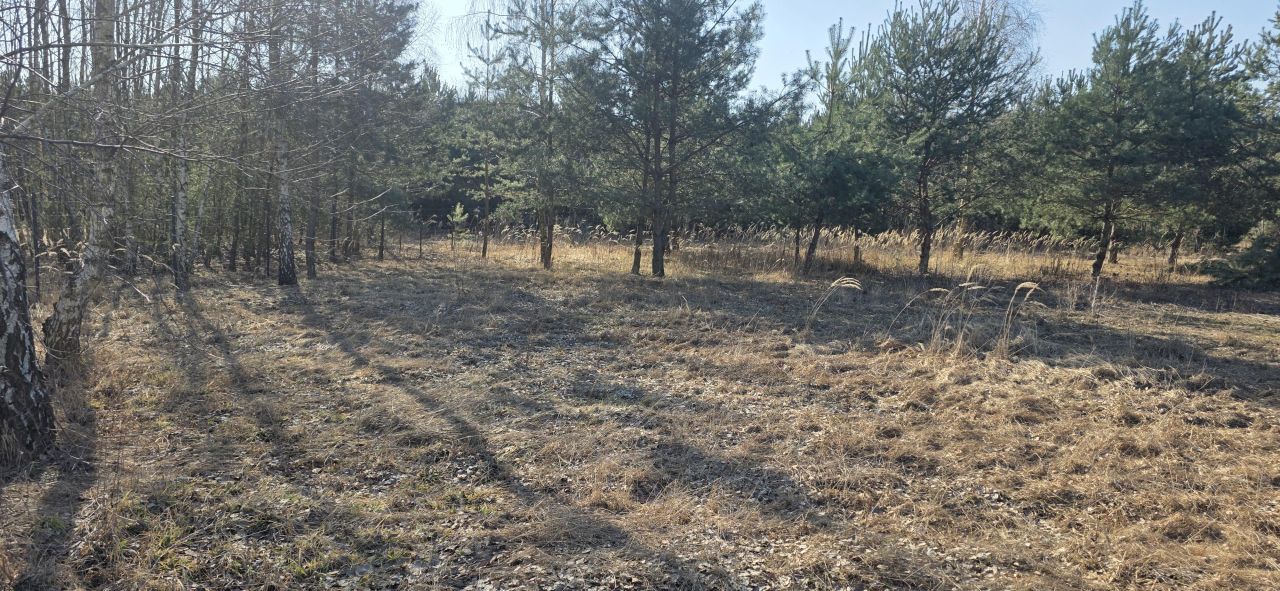 Działka budowlana Sokolniki, ul. Sierpecka. Zdjęcie 8