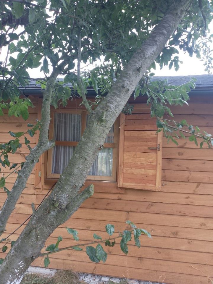 Działka rod Kędzierzyn-Koźle Żabiniec, ul. Gliwicka. Zdjęcie 8