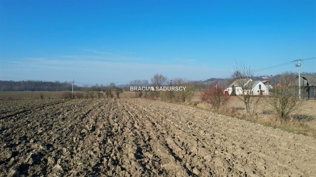 Działka Popędzyna. Zdjęcie 15