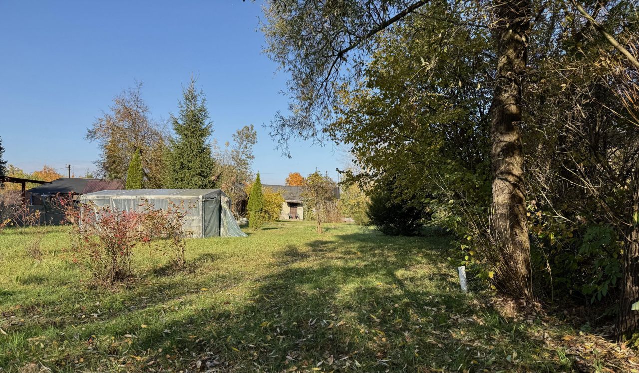 Działka siedliskowa Brzeziny, Brzeziny. Zdjęcie 4