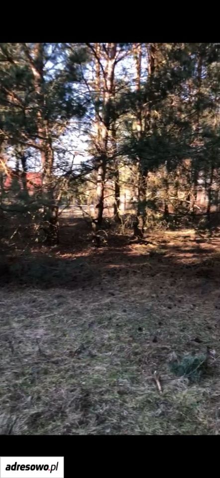 Działka rolno-budowlana Lubnów, ul. Szkolna. Zdjęcie 1