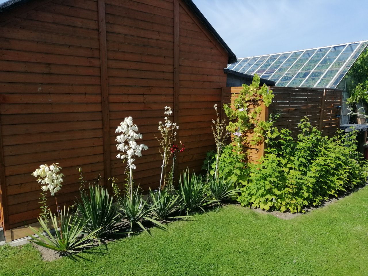 Działka rod Kołobrzeg, ul. Bolesława Krzywoustego. Zdjęcie 23