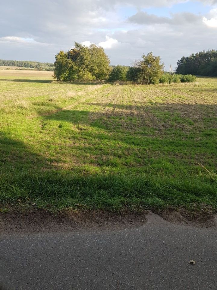 Działka rolna Zalesie. Zdjęcie 4