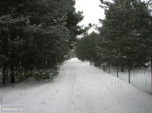 Działka budowlana Chrzczanka Włościańska, ul. Leśna. Zdjęcie 4