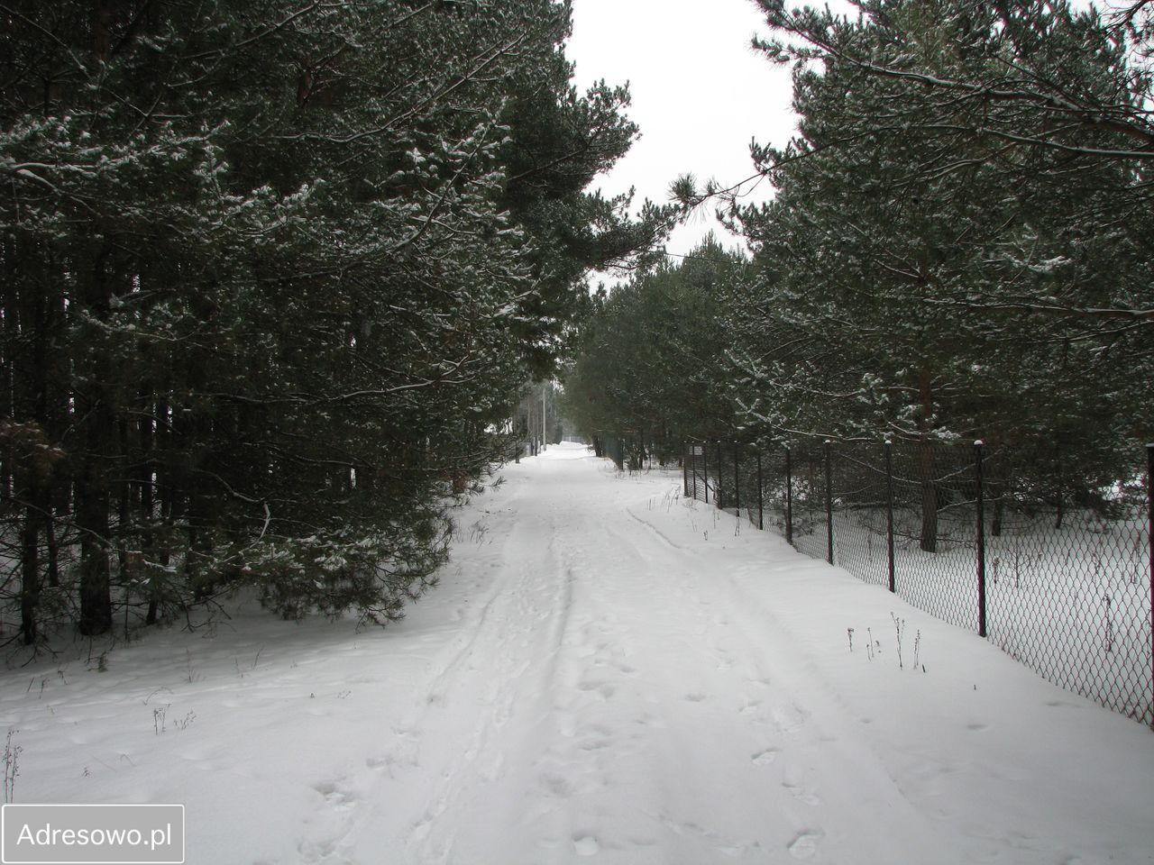 Działka budowlana Chrzczanka Włościańska, ul. Leśna. Zdjęcie 5