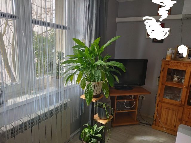 Mieszkanie 1-pokojowe Żmigród, ul. Rybacka. Zdjęcie 1