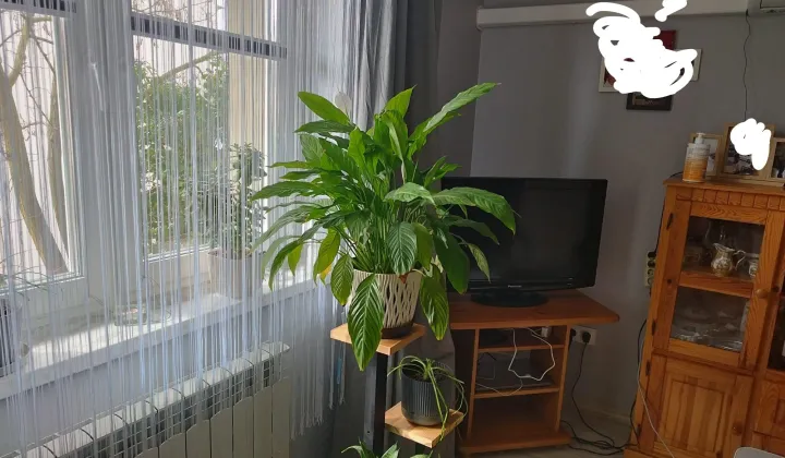 Mieszkanie 1-pokojowe Żmigród, ul. Rybacka