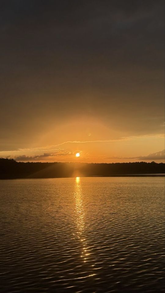 Działka budowlana Giewartów. Zdjęcie 4