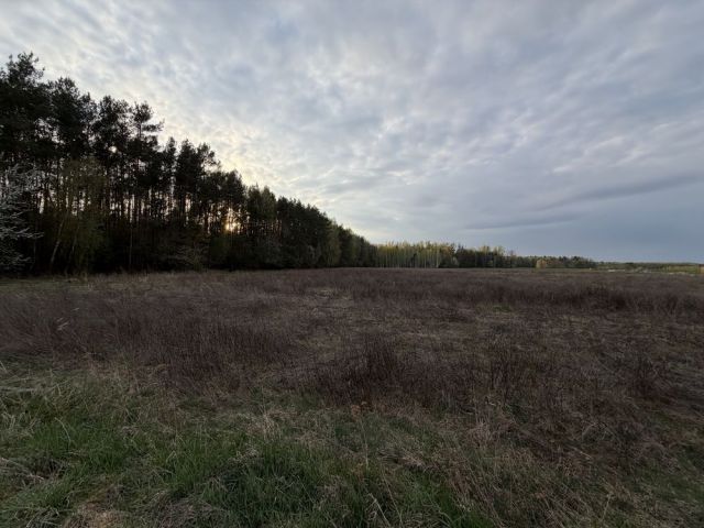 Działka budowlana Tłuściec. Zdjęcie 1