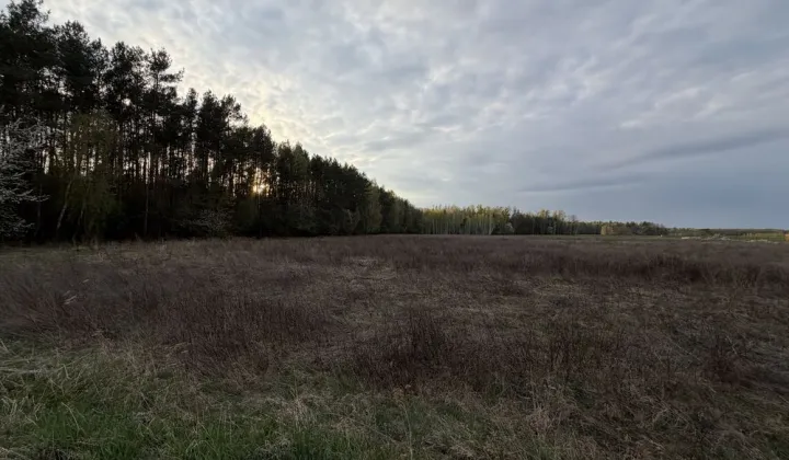 Działka budowlana Tłuściec