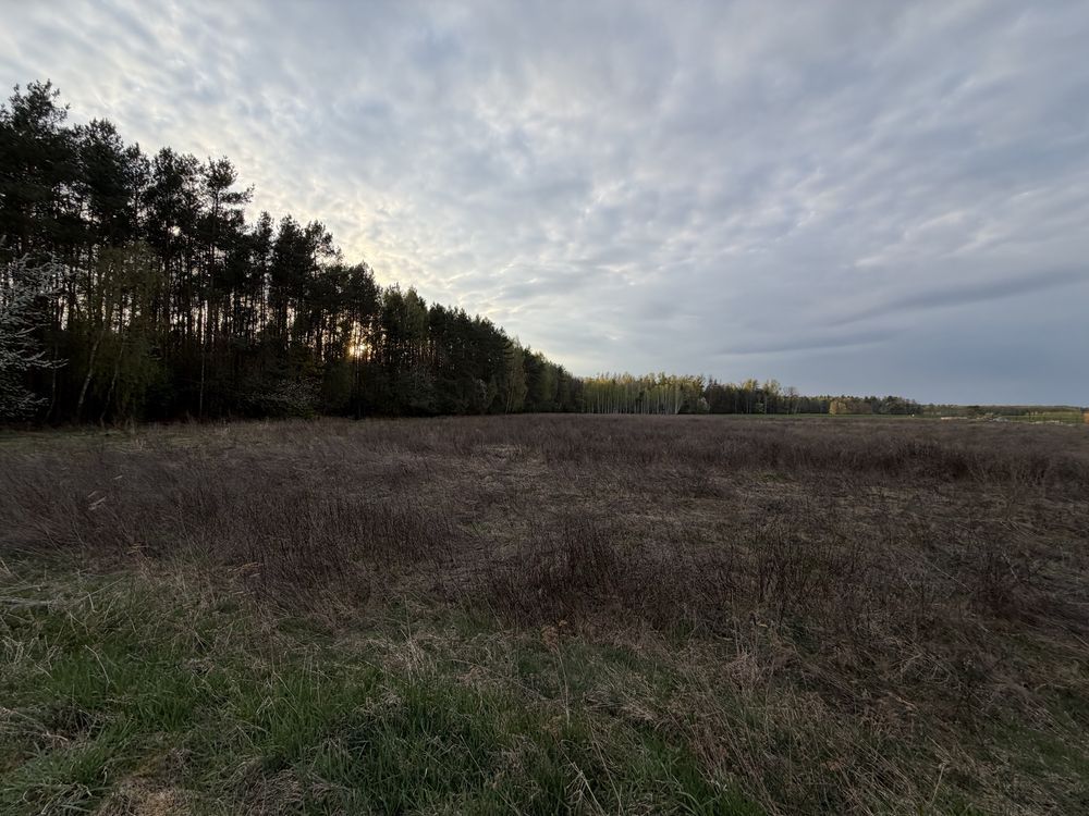 Działka budowlana Tłuściec. Zdjęcie 1