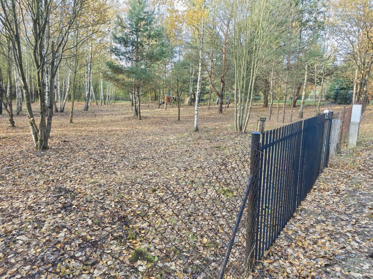 Działka budowlana Stare Skoszewy. Zdjęcie 9