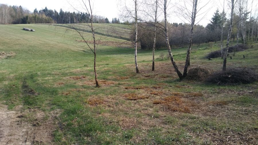 Działka budowlana Ząbrsko Górne. Zdjęcie 7