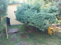 Działka rod Łódź Łagiewniki, ul. Przyklasztorze. Zdjęcie 3