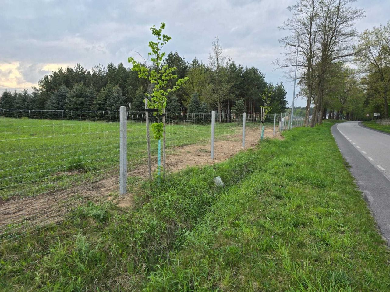 dom wolnostojący Opatów. Zdjęcie 2