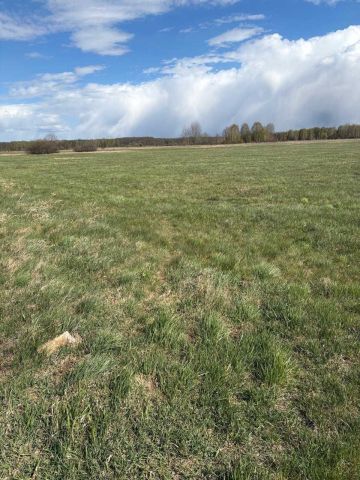 Działka rolna Doratynka. Zdjęcie 1